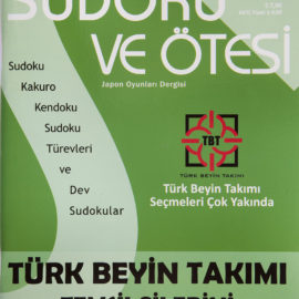 sudoku ve ötesi sayı 41